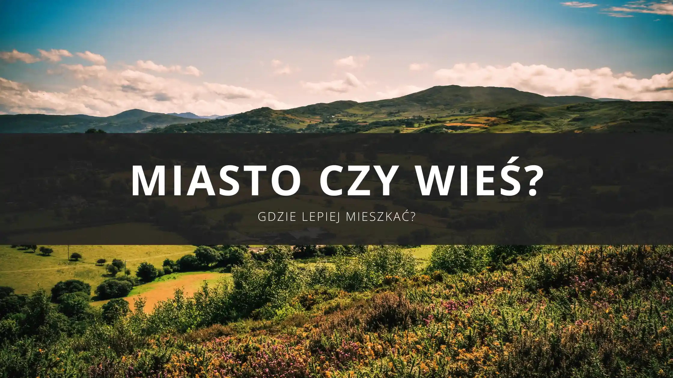Gdzie lepiej mieszkać - na wsi czy w mieście? Wady i zalety życia w różnych miejscach